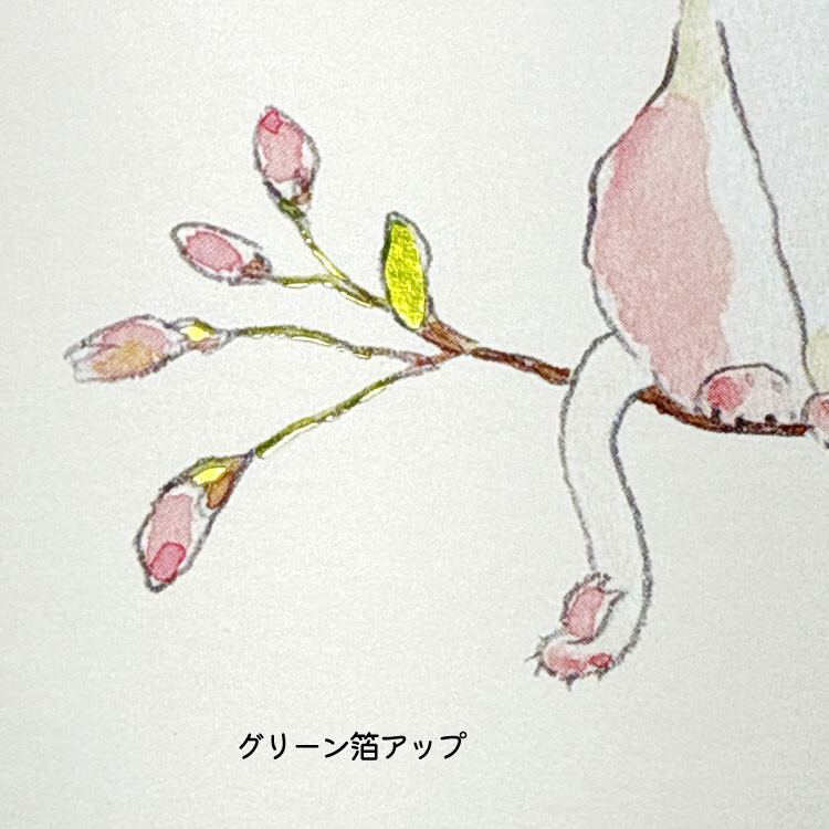 Tabi Neko Postcard - Spring Cat In Sakura Tree