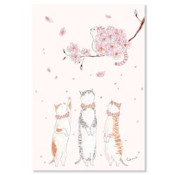 Tabi Neko Postcard - Spring Cats Looking At Sakura