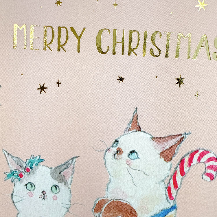 Tocoro Comugi Christmas Postcard - Candy
