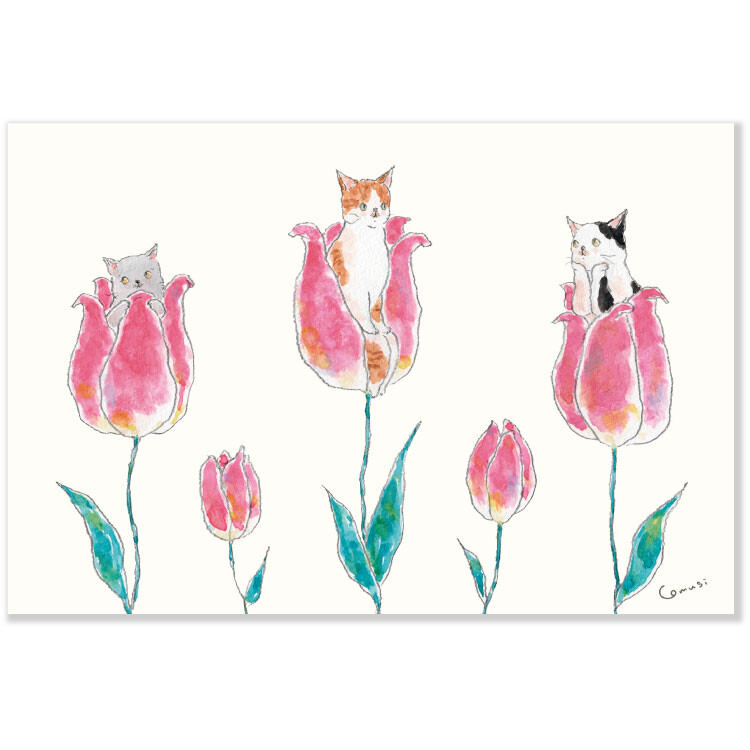 Tokoro Postcard - Goodnight Princess Cats