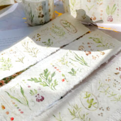Meow Illustration "Gardeners Journal" Washi Tape
