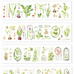 Meow Illustration "Gardeners Journal" Washi Tape