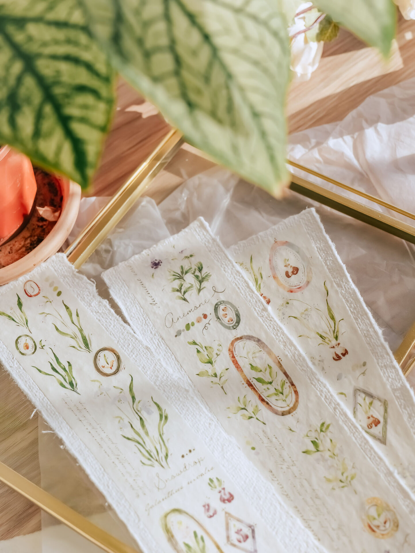 Meow Illustration "A Year of Blossom" Washi Tape - Spring