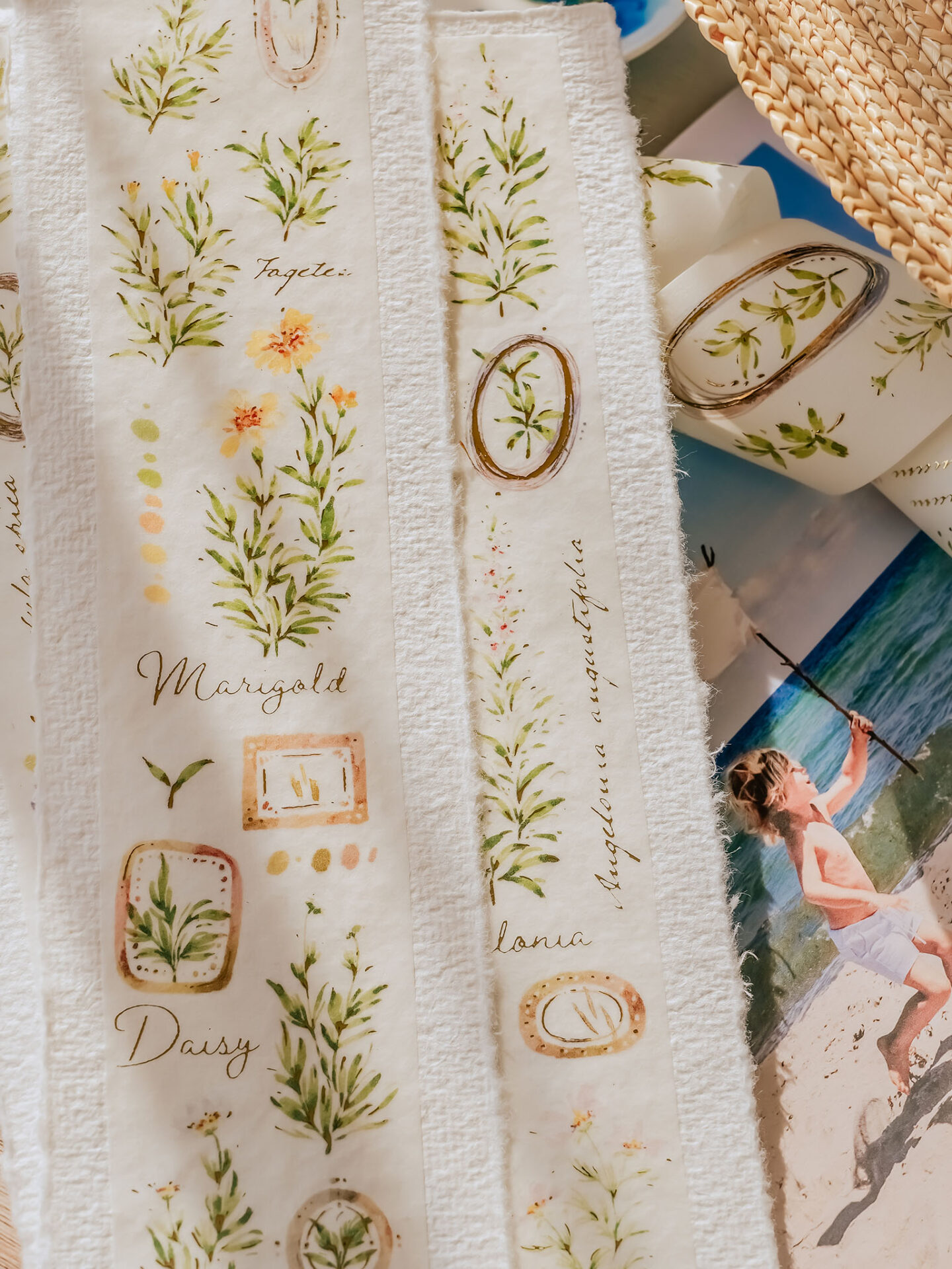 Meow Illustration "A Year of Blossom" Washi Tape - Summer