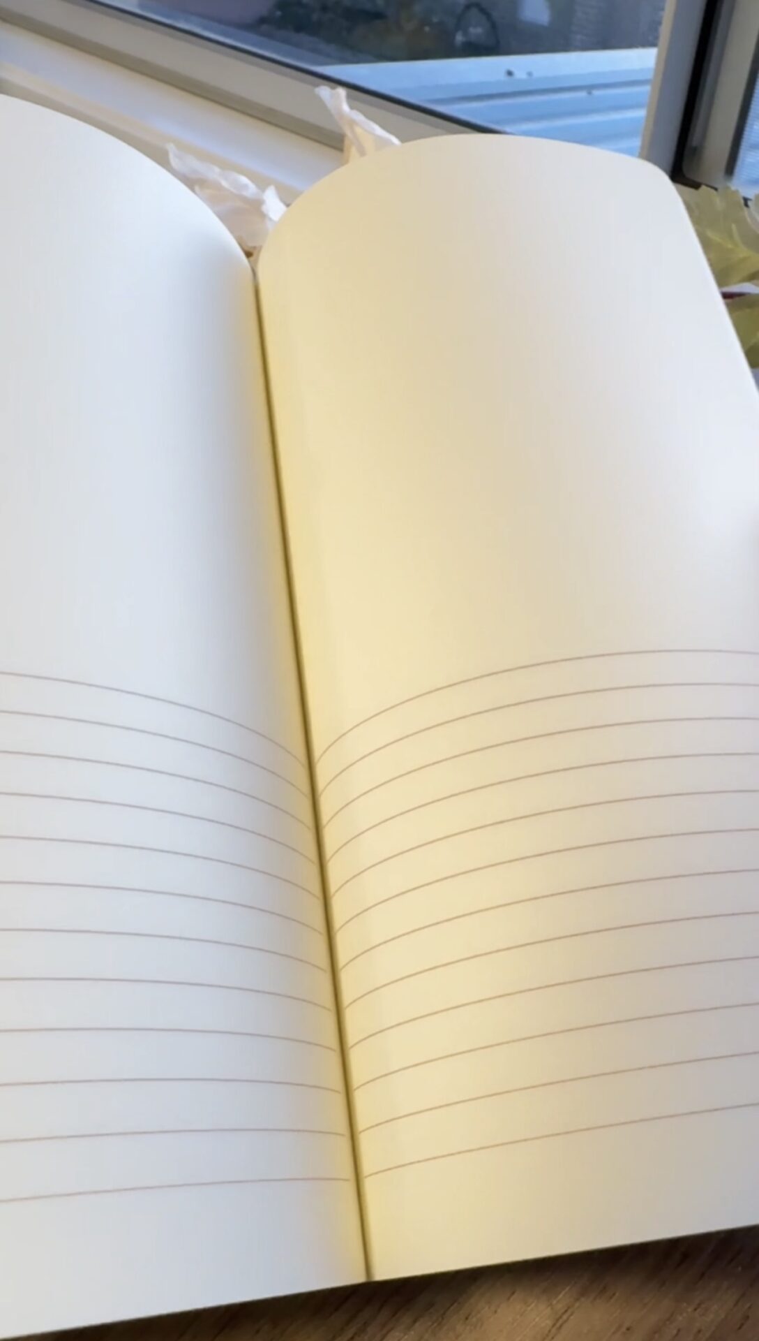 Meow Illustration Thread-Bound Notebook - L.Laugh