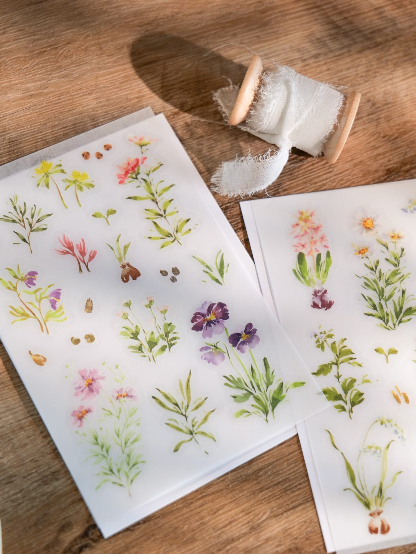Meow Illustration "A Year of Blossom" Transfer Stickers