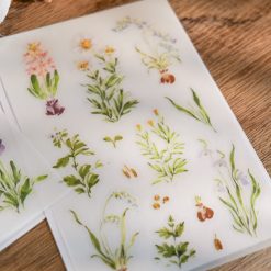 Meow Illustration "A Year of Blossom" Transfer Stickers