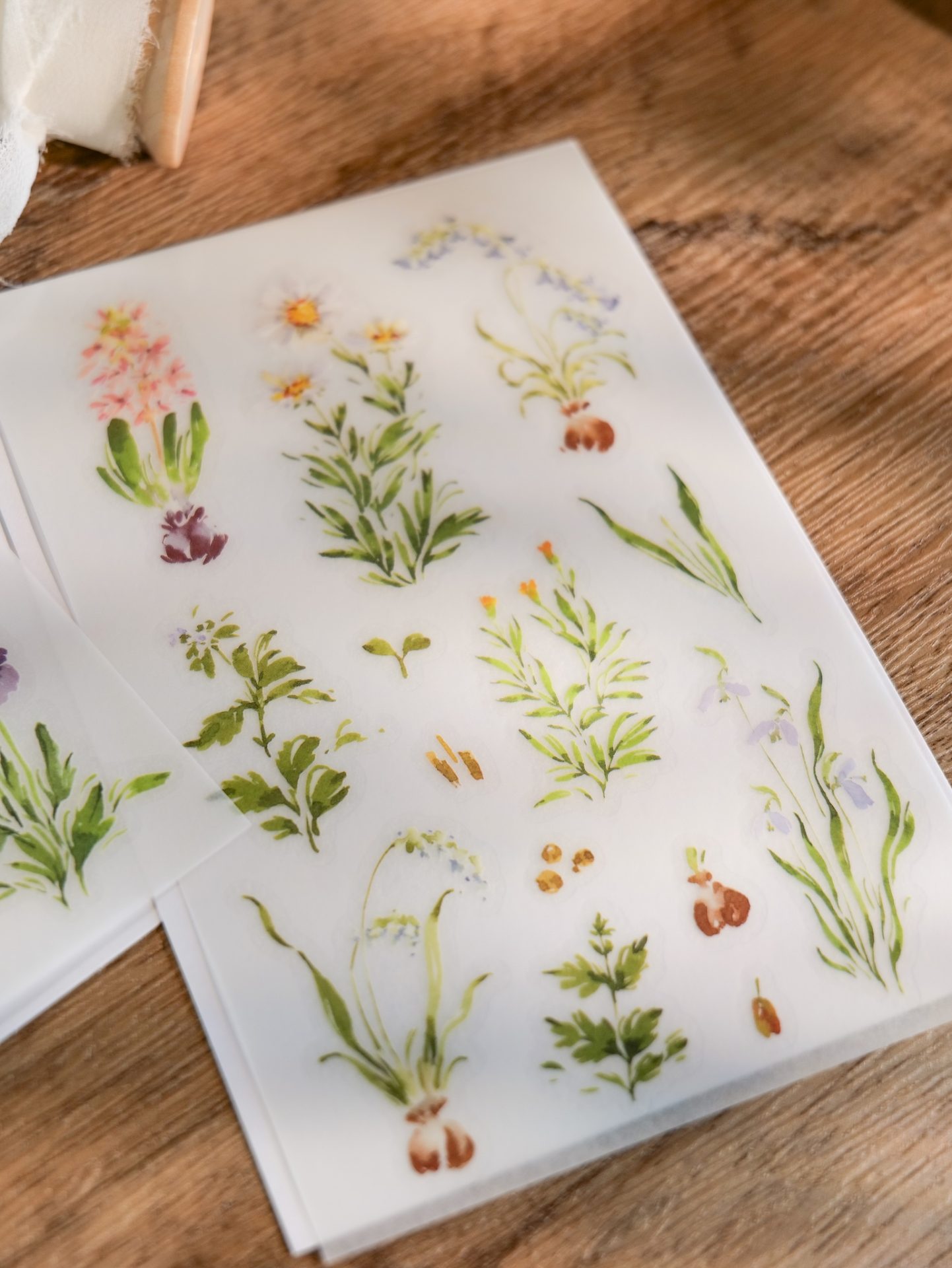 Meow Illustration "A Year of Blossom" Transfer Stickers