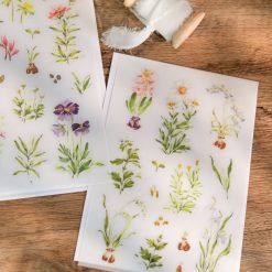 Meow Illustration "A Year of Blossom" Transfer Stickers