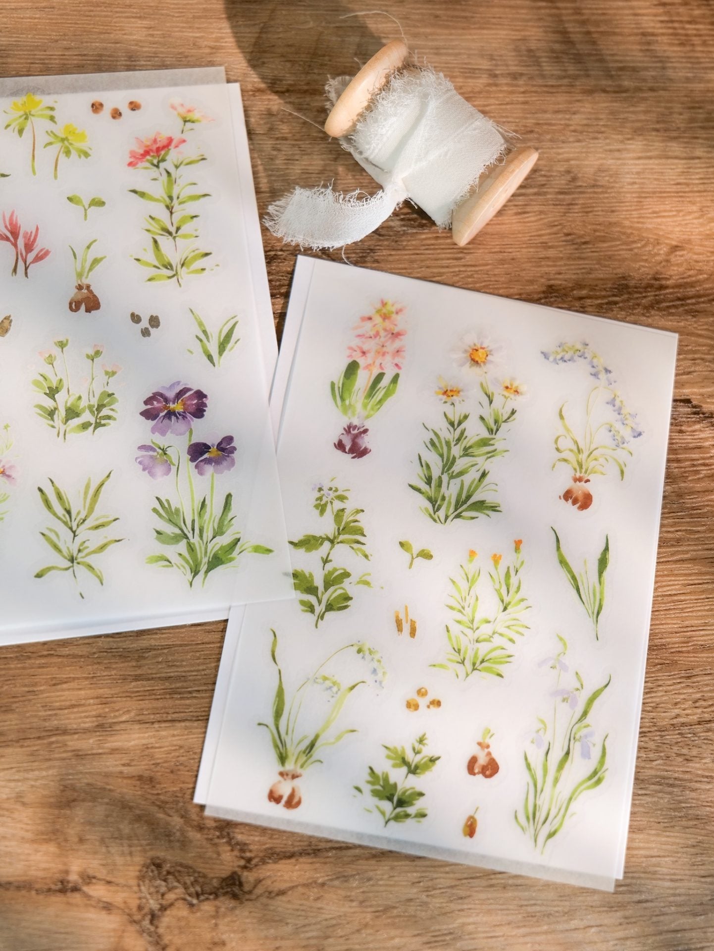 Meow Illustration "A Year of Blossom" Transfer Stickers