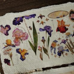 Benchu Studio PET Tape - Grow Wantonly