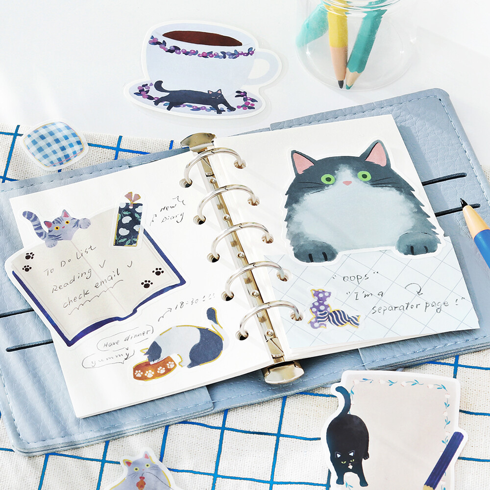 BGM Memo Stickers Cat Diary - Blue
