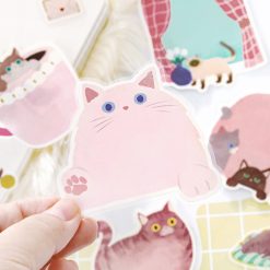 BGM Memo Stickers Cat Diary - Pink