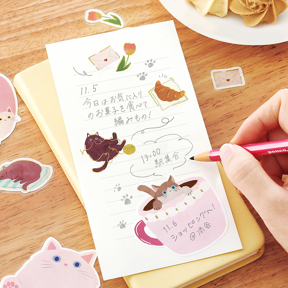 BGM Memo Stickers Cat Diary - Pink