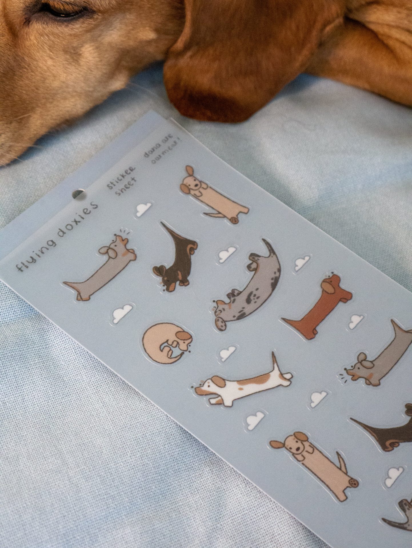 Dana Ate Oatmeal Sticker Sheet – Flying Doxies — gallery