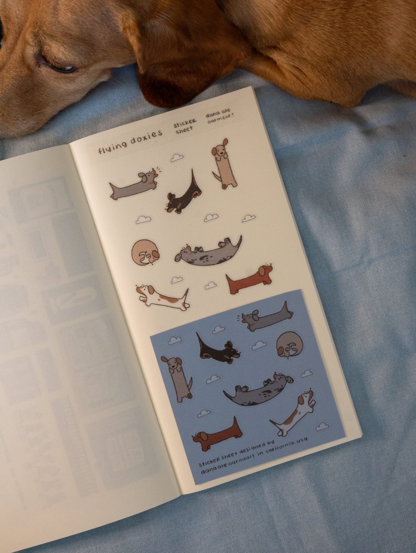 Dana Ate Oatmeal Sticker Sheet – Flying Doxies — gallery