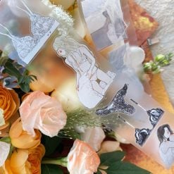DingDing Kiss-cut PET Tape 50