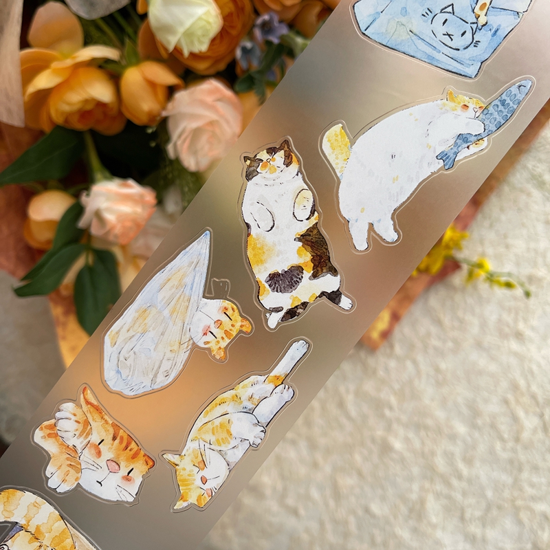 DingDing Kiss-cut PET Tape 54
