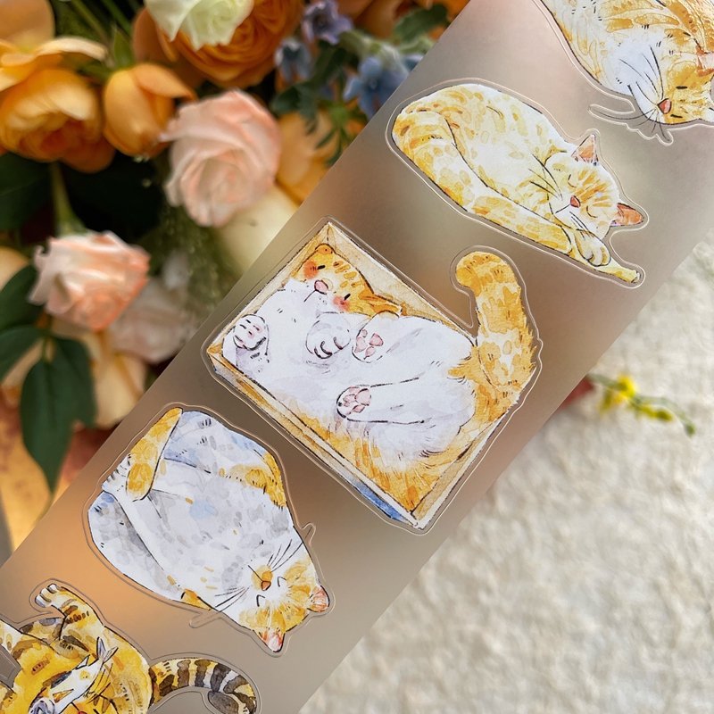 DingDing Kiss-cut PET Tape 54