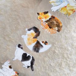 DingDing Kiss-cut PET Tape 54