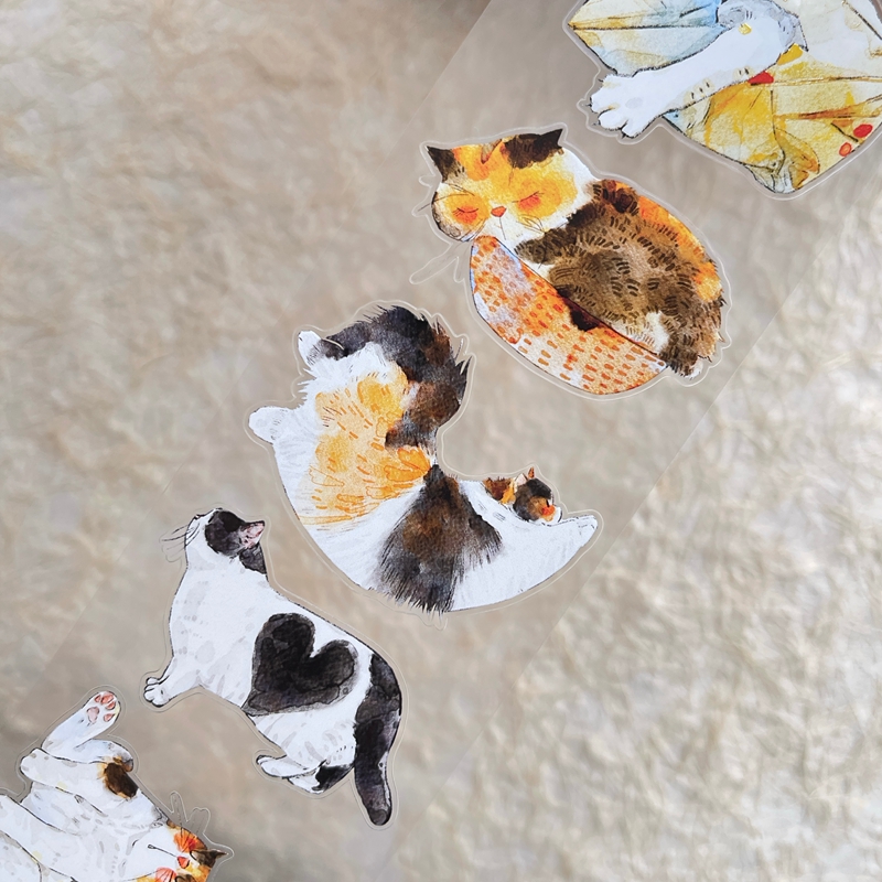 DingDing Kiss-cut PET Tape 54