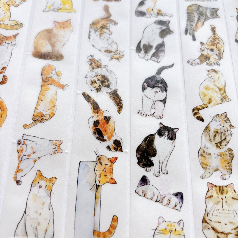 DingDing Kiss-cut PET Tape A62 — gallery
