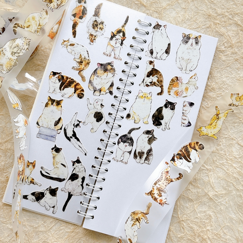 DingDing Kiss-cut PET Tape A62 — gallery