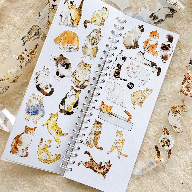 DingDing Kiss-cut PET Tape A62 — gallery
