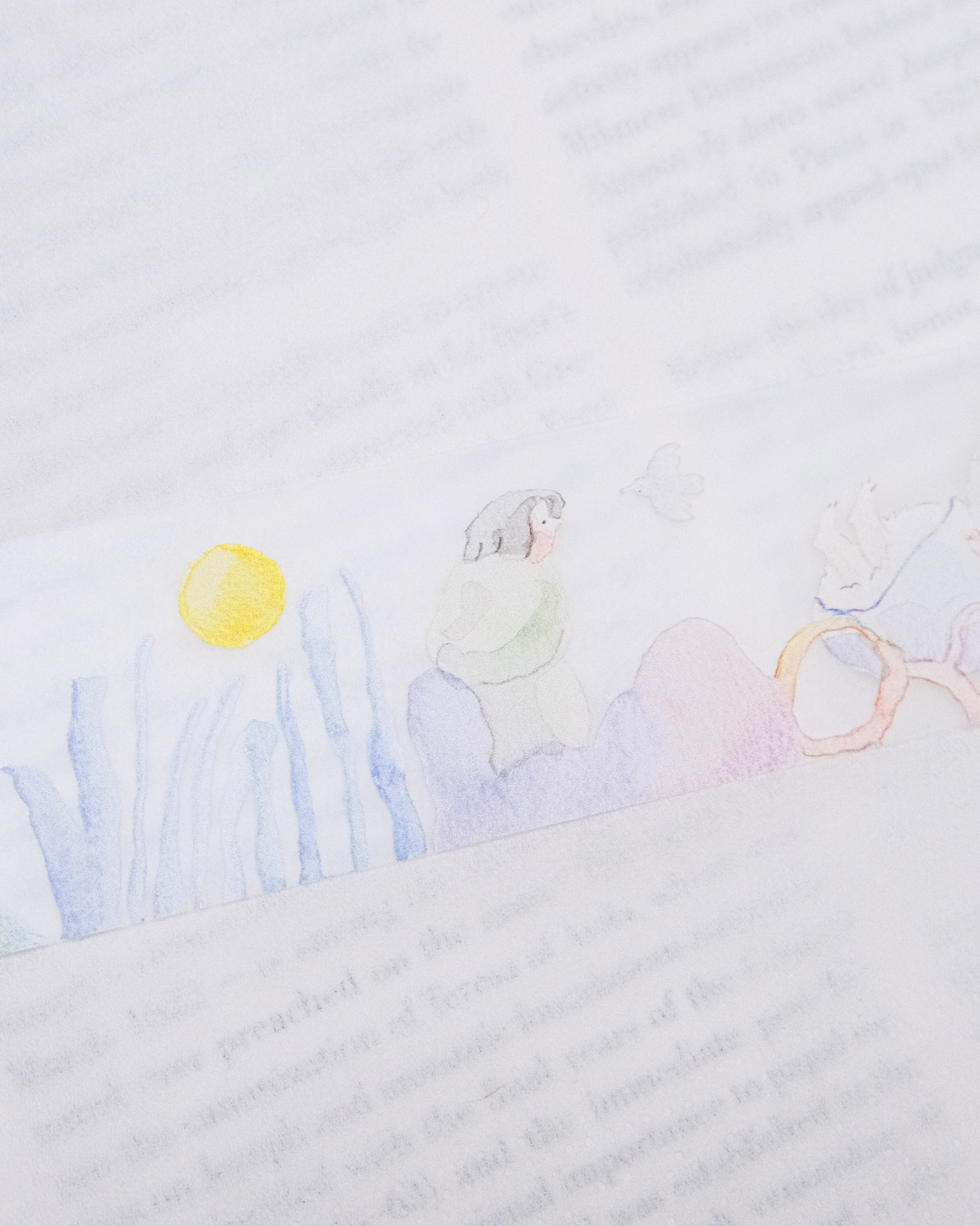 Dodolulu Matte Tape – Wonderland — gallery