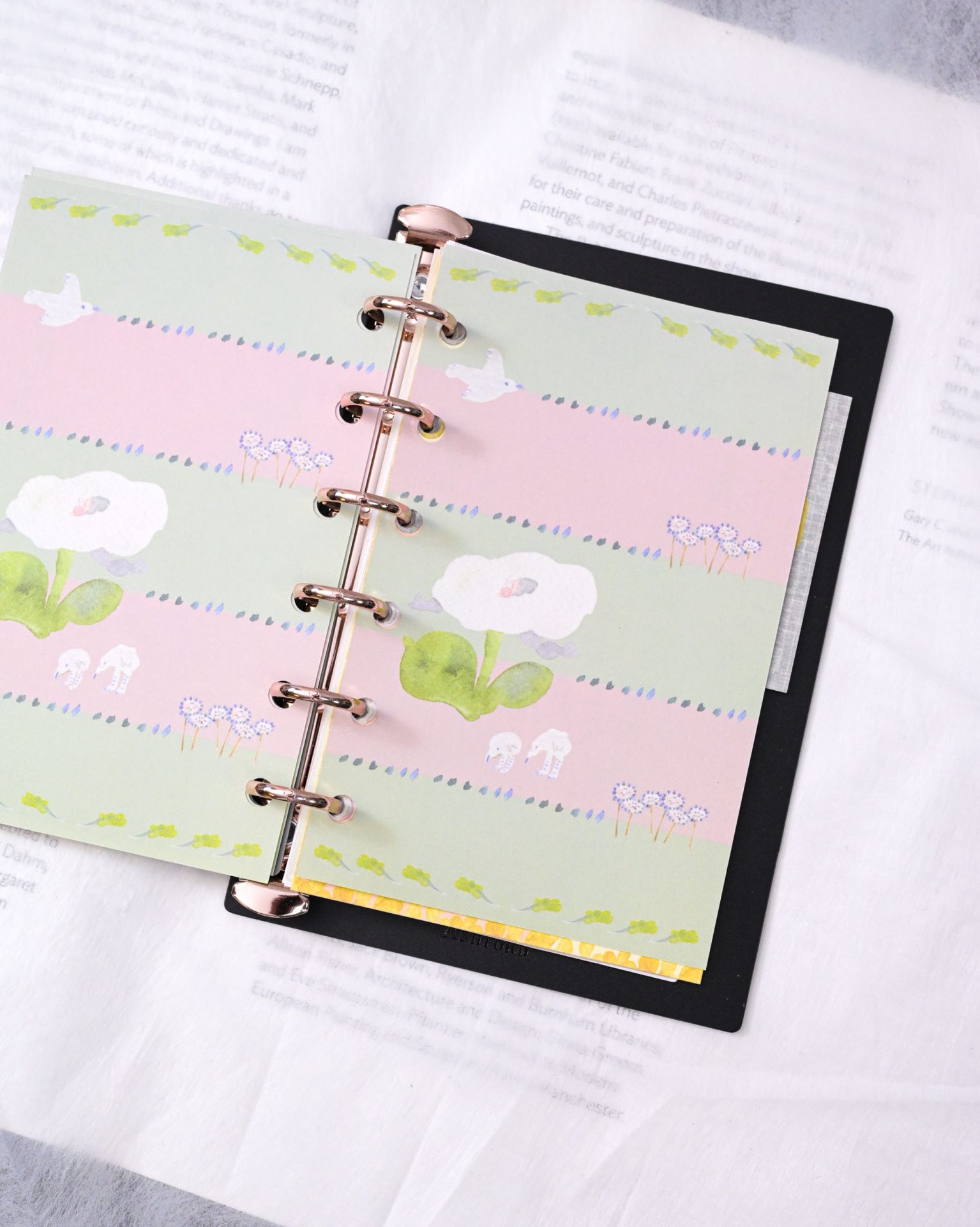 Dodolulu Mini 6 Notebook Refills – Growing Thoughts — gallery