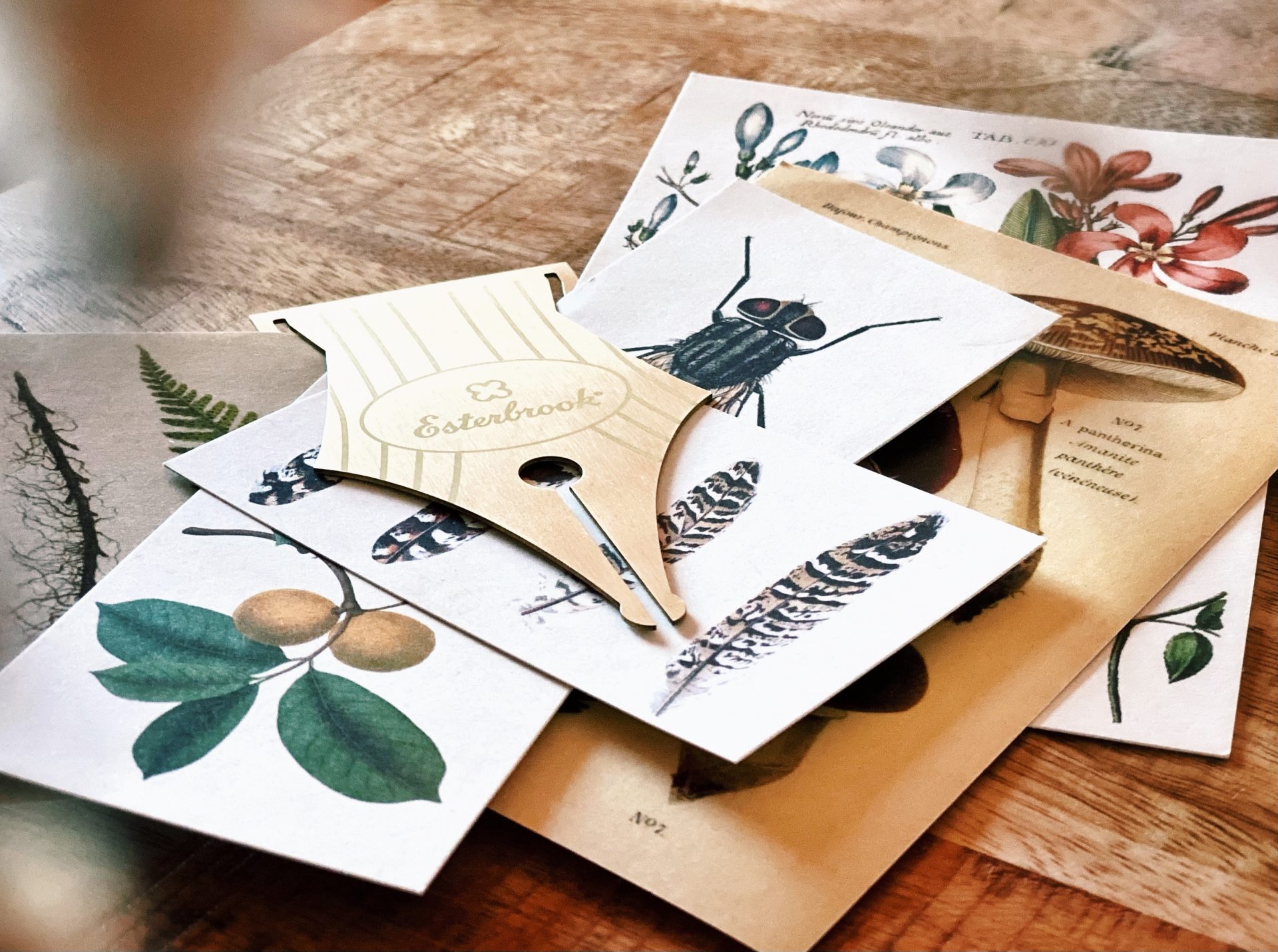 Esterbrook Nib Bookmark — gallery