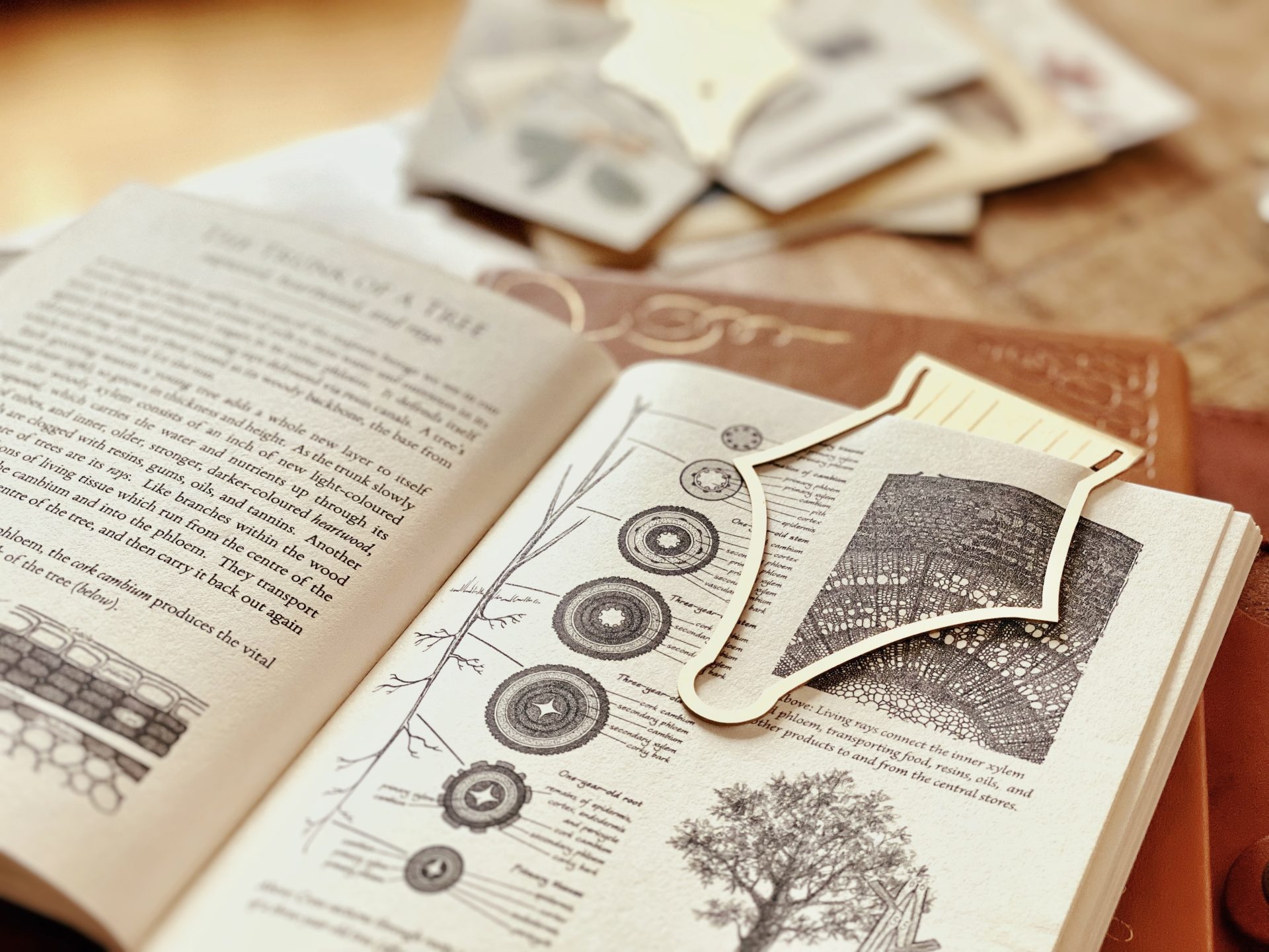 Esterbrook Nib Bookmark — gallery