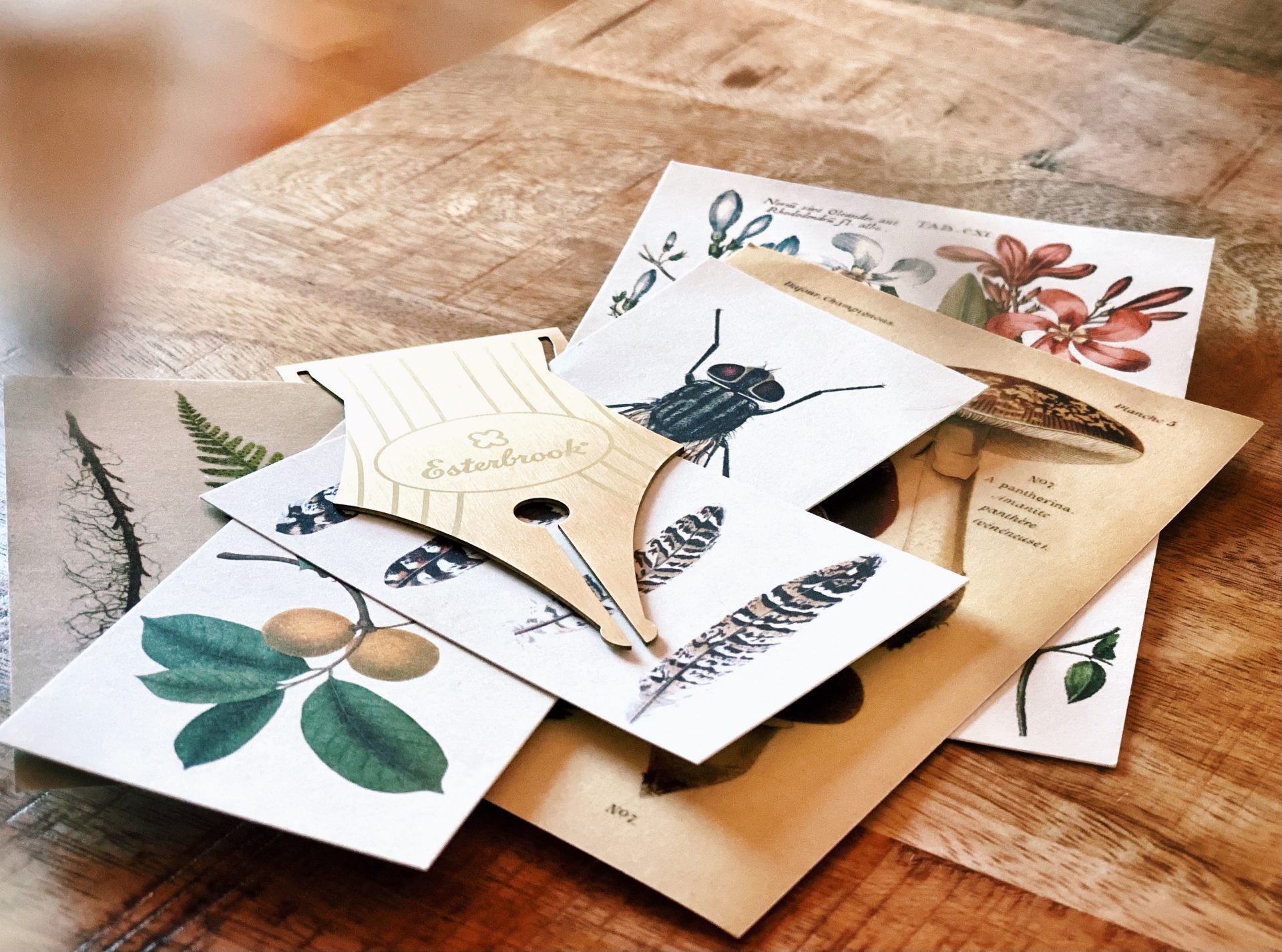 Esterbrook Nib Bookmark — gallery