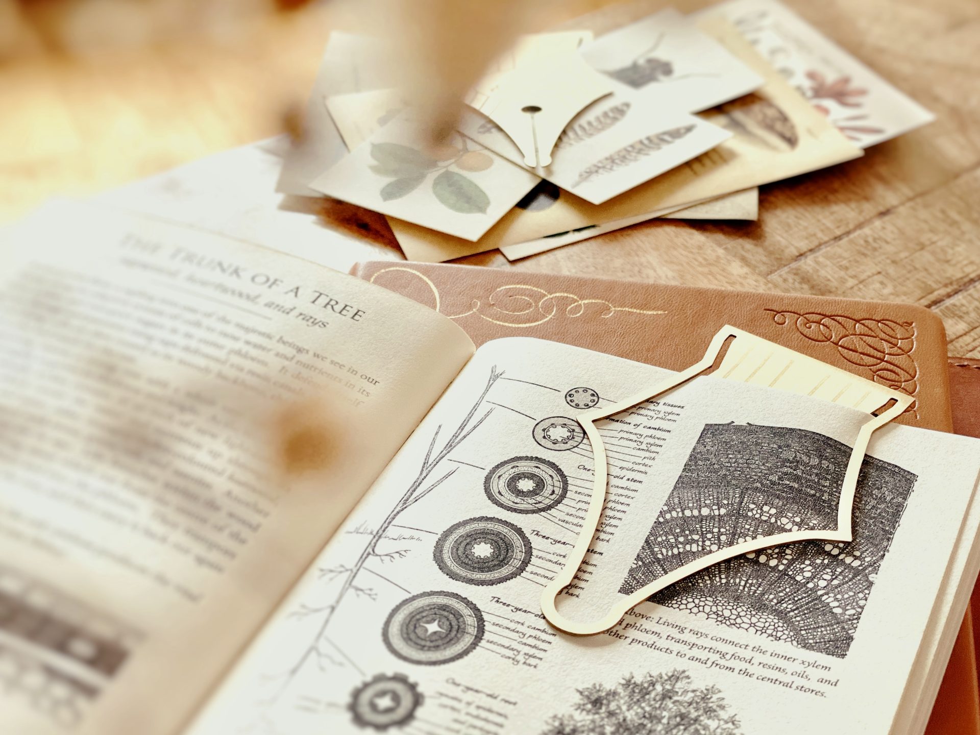Esterbrook Nib Bookmark — gallery