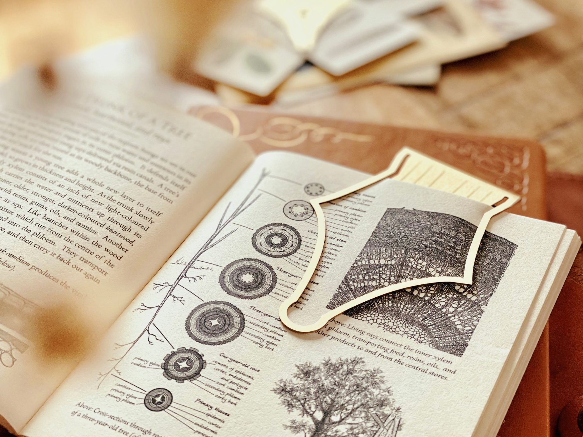 Esterbrook Nib Bookmark — gallery