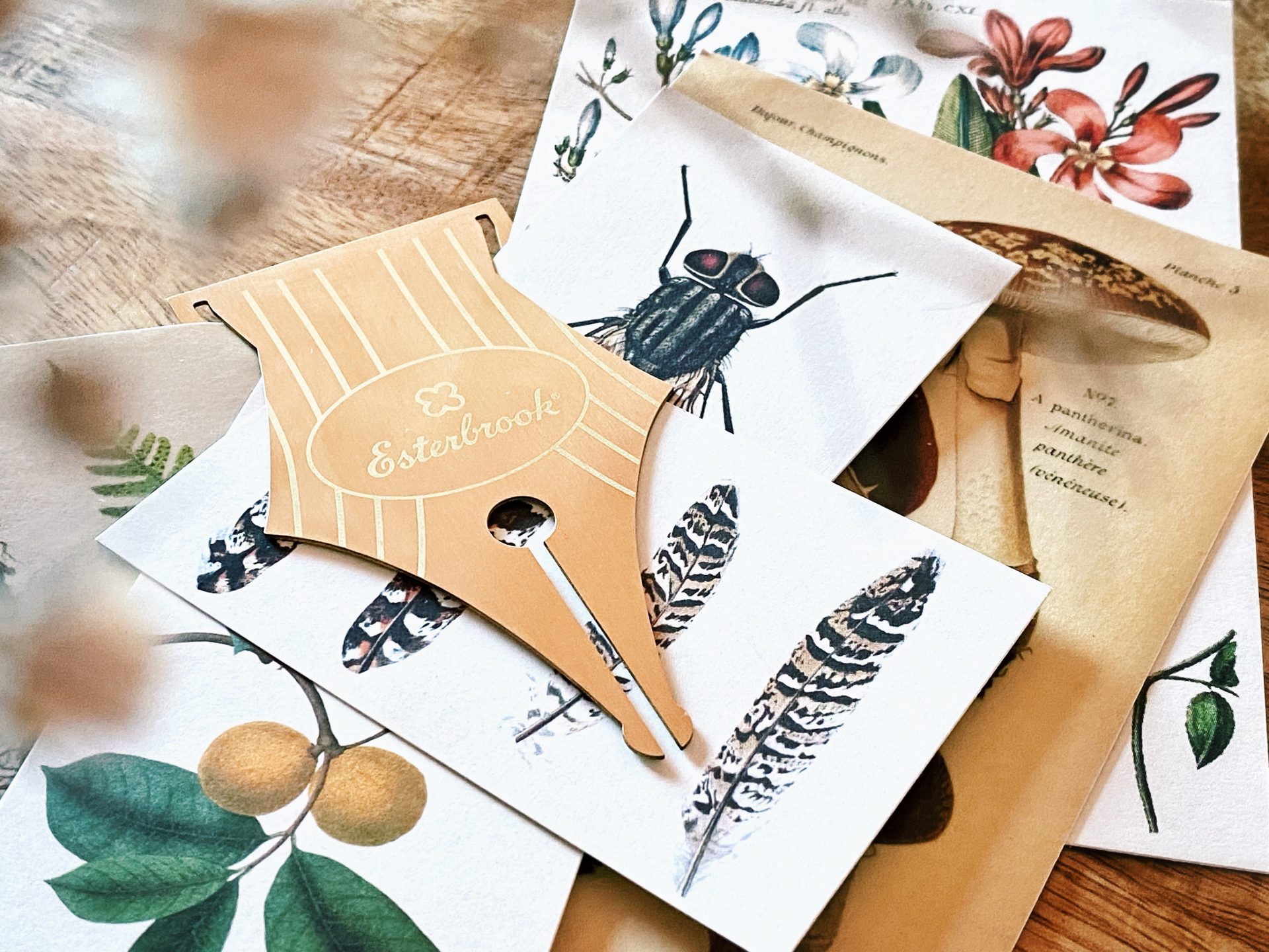Esterbrook Nib Bookmark — gallery