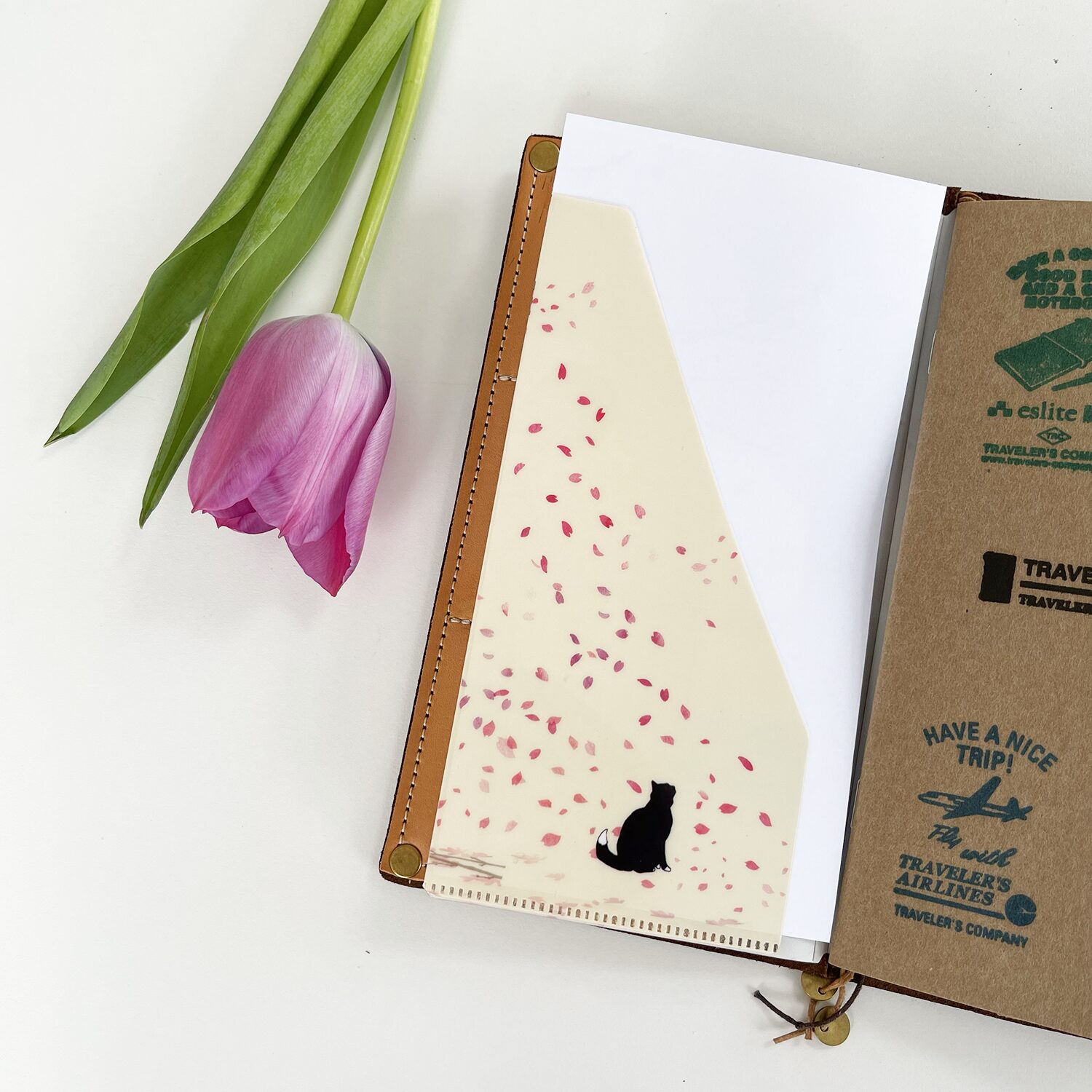Miso Paper x Ryoko Tamura "Hana Yori Dango" Folder for Traveler's Notebook - Image 4