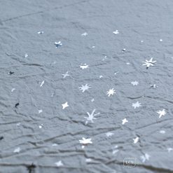 Lin Chia Ning Kiss-cut PET Tape – Stars, Matte Silver — gallery