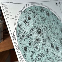 Mewmewbeam Postcard - World Map 006