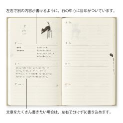 Midori 2027 B6 Book Style Diary - Cat Beige image 4