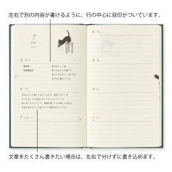 Midori 2027 B6 Book Style Diary - Cat Green image 4