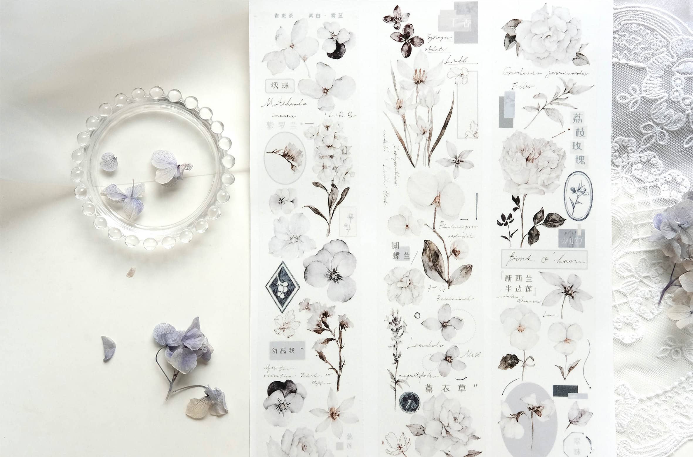 Freckles Tea Vol. 3 Collection - Mist Blue Tape (PET or Washi)