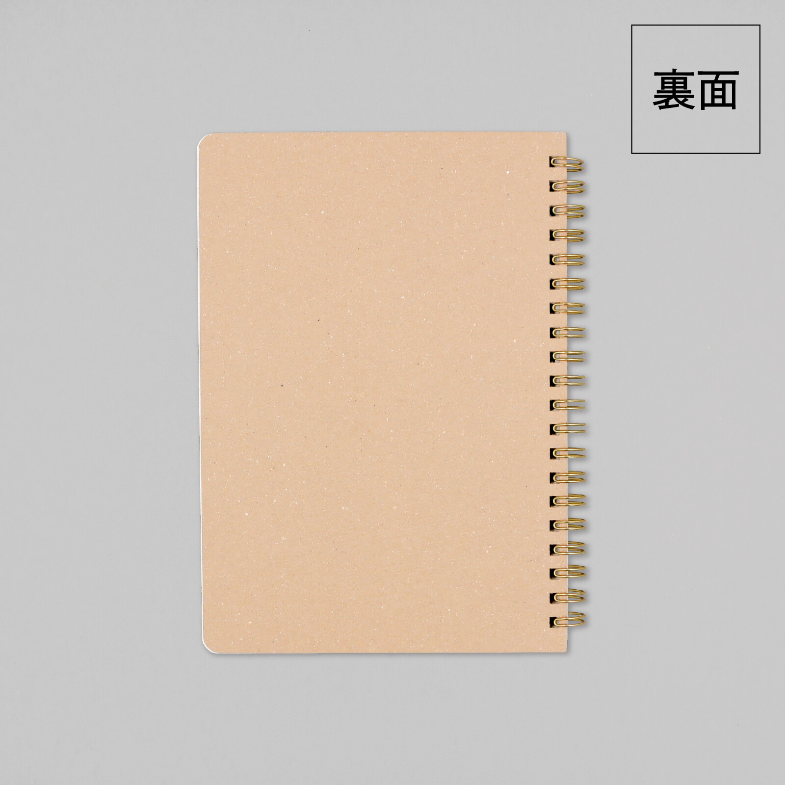 ROKKAKU B6 Ring Notebook – Cat Art Collection 2 — gallery