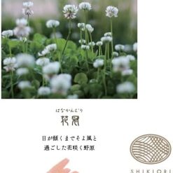 Sailor Shikiori Ink Cartridges (8-pack) – Hanakanmuri — gallery