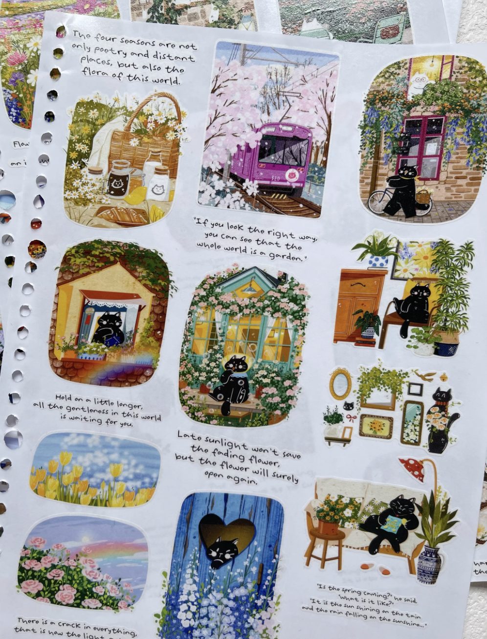 Xiami Studio Die-Cut PET Tape - Spring