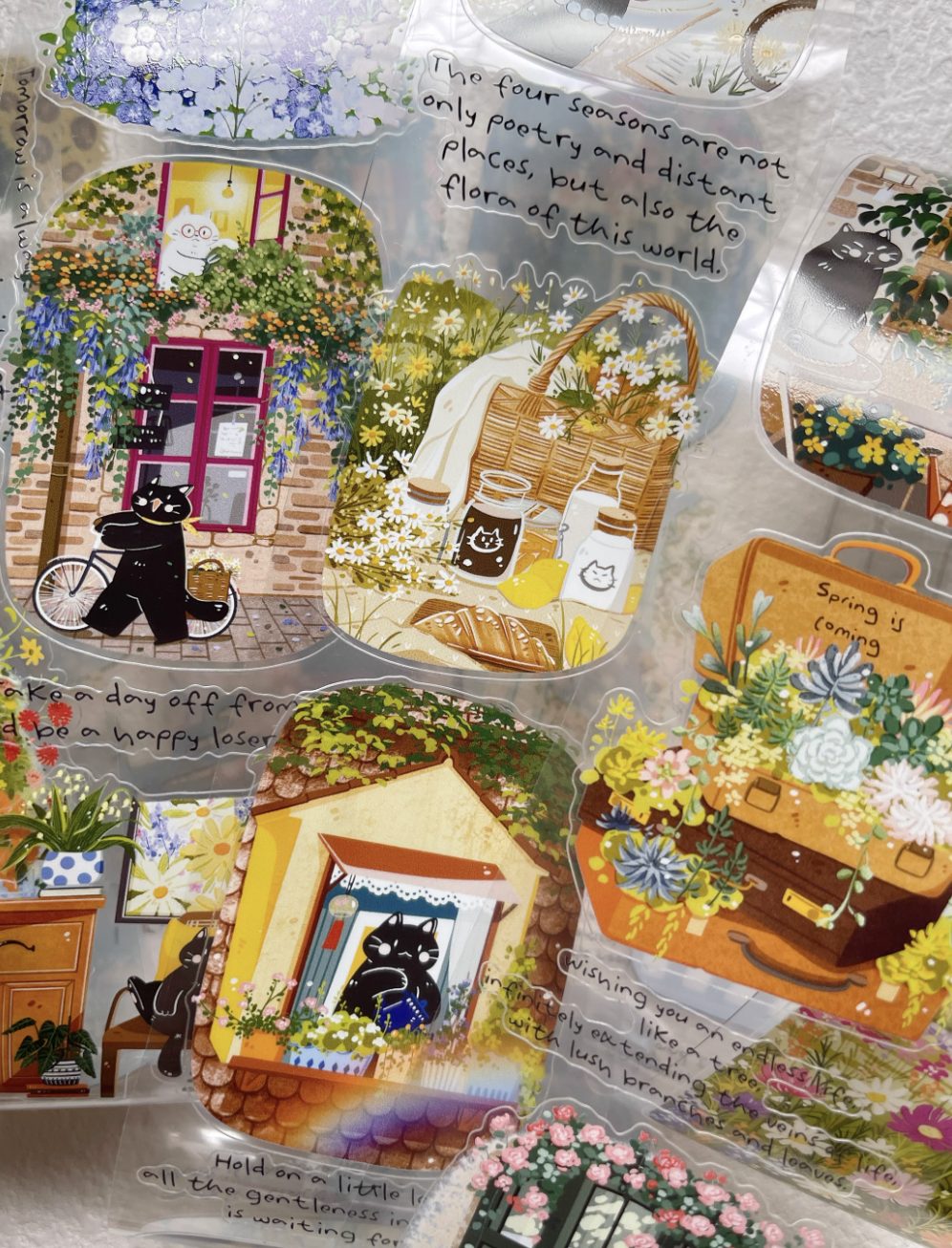 Xiami Studio Die-Cut PET Tape - Spring