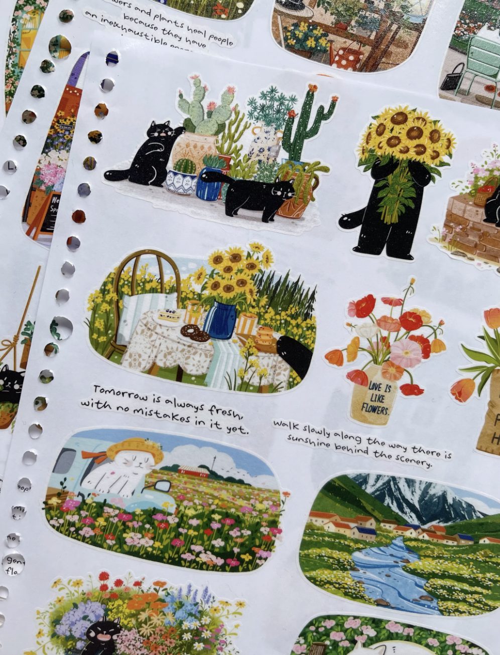 Xiami Studio Die-Cut PET Tape - Spring