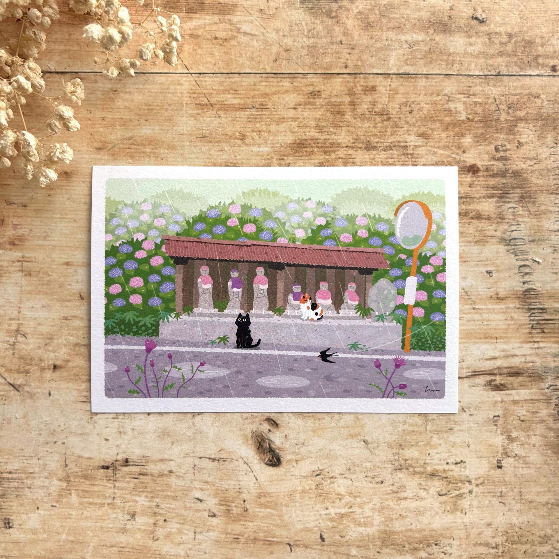 Tabi Neko Summer Postcard – Rainy Day