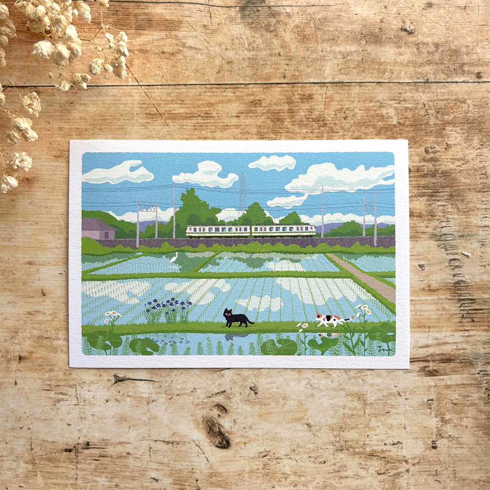 Tabi Neko Summer Postcard – Rice Fields