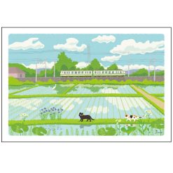 Tabi Neko Summer Postcard – Rice Fields — gallery